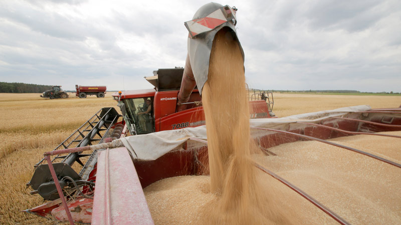 La Russia aiuterà a “risolvere la crisi alimentare” se l’Occidente rimuoverà le sanzioni