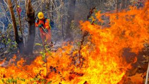 Protección Civil emite alerta roja por incremento de incendios forestales