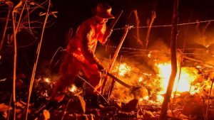 Incendio forestal en San José Villanueva afectó cerca de 10 hectáreas