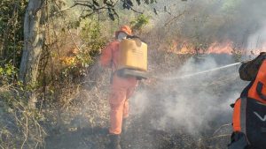 Incendio forestal consume al menos cinco hectáreas en cerro de Nejapa