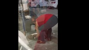 Indignación en redes sociales por video de muerte de mascota afuera de Chivo Pets