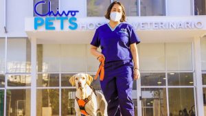 "Ese hospital está mejor que los de humanos": salvadoreños reclaman que Gobierno prioriza atención a mascotas