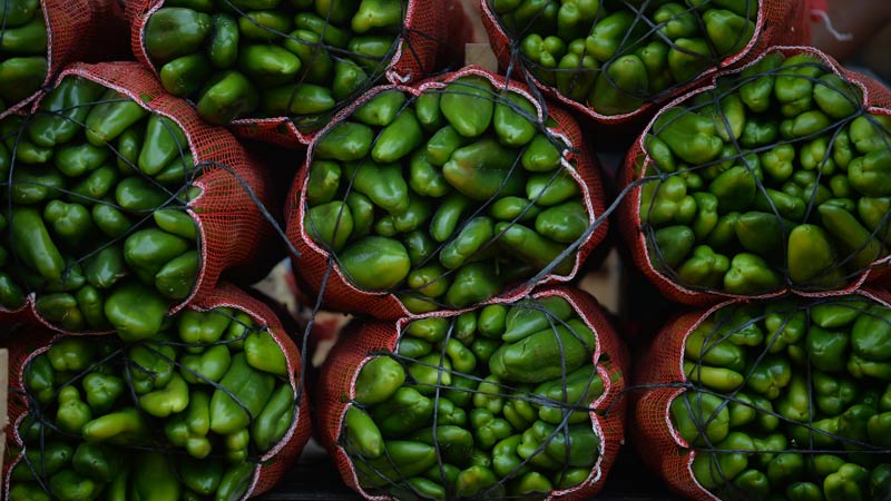 Otros ingredientes esenciales como cebolla, chile verde y ajo mantienen precios estables en el Mercado Central.