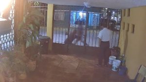 Impactante video. Momento en el que mujer es secuestrada frente a sus vecinos en México