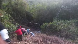 Autobús de la ruta 320 cae a un barranco en San Miguel