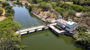 El agua sucia y maloliente por contaminación de algas en 2020 podría ocurrir de nuevo