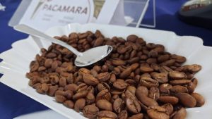 Honduras vende $1,068 millones en café
