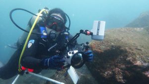 En Los Cóbanos hallan coral negro declarado extinto en El Salvador