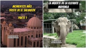 Salvadoreños en TikTok recuerdan con mucho cariño y nostalgia a la elefanta Manyula