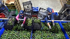 México prevé medio millón de nuevos empleos si atrae cadenas de suministro