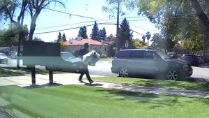 VIDEO: Bebé de 3 meses fue secuestrado tras un mínimo descuido de su abuela