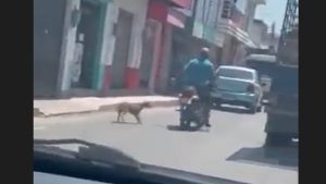 Un motociclista arrastra a un perro con un lazo en Guatemala