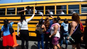 Investigador estadounidense considera las capturas masivas "un show" para ganar aprobación internacional