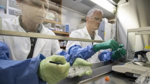 Científicos de la NASA logran cultivar plantas con suelo de la Luna