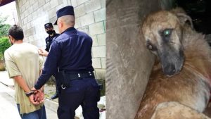 Detienen a hombre por herir con machete a un perro en San Juan Opico