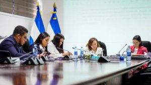 Presidenta de Comisión de la Familia anuncia que estudio del Proyecto de “Ley Crecer Juntos” será maratónico