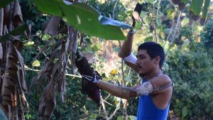 Adonay, el manco y ciego, fue liberado por el régimen