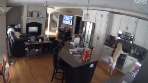 VIDEO: Un perro enciende la cocina de la casa y provoca incendio en Missouri