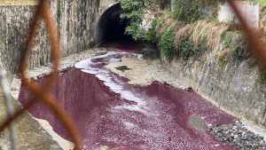 Dejan en libertad a acusados por caso de contaminación en quebrada El Piro