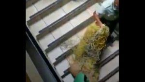 VIDEO: Investigan denuncia de maltrato animal en Santa Ana