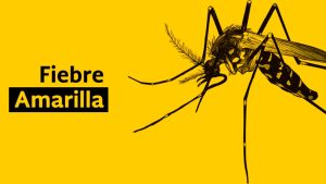 teleamigo-fiebre-amarillaok