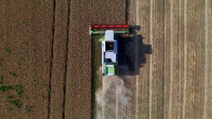 Ucrania y Rusia firman con Turquía y la ONU acuerdos para la exportación de grano