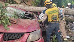 Fotos: Conductor muere soterrado por deslizamiento de tierra en Los Chorros