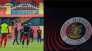 Como una buena película: el tigre renueva sus rayas