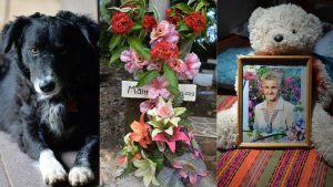 Perrito regresa al lugar donde murió su dueña en Usulután