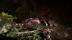 Un hombre murió al quedar atrapado en vehículo tras derrumbe en carretera Los Chorros