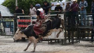 Entre aplausos y protesta: alcaldía de Mejicanos organizó jaripeo