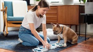 Crean botones personalizados para que mascotas "hablen" con sus dueños