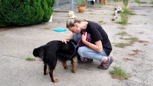 Personas en Reino Unido abandonan a sus mascotas por falta de ingresos