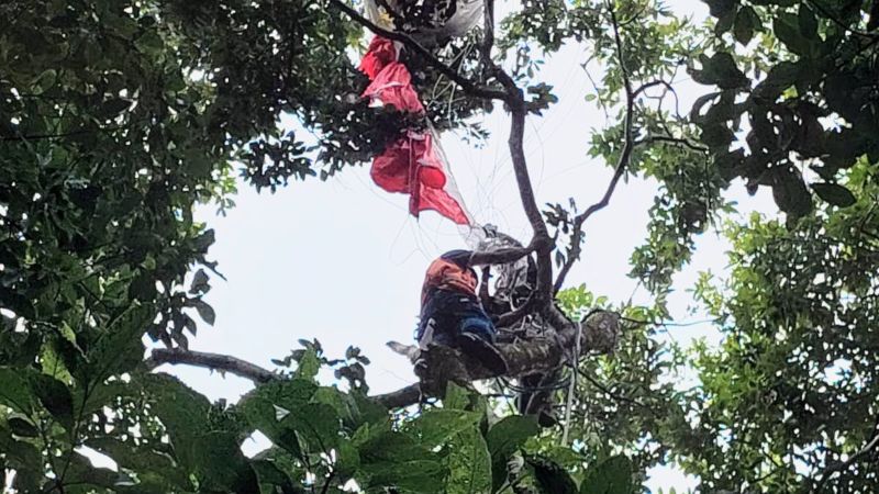 Paracaidista quedó colgado en árbol de 30 metros de altura en Soyapango