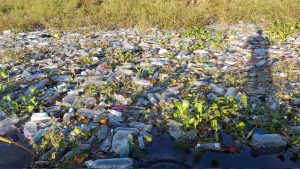 CEL reacciona con jornada de limpieza a denuncia de contaminación de plástico en lago Suchitlán