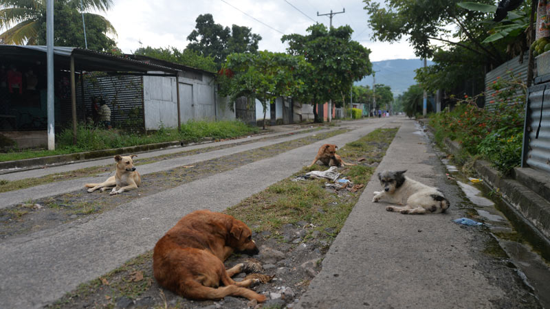 Villa Tzuchi regimen de excepion capturas pandillas Bukele San Juan Opico la Libertad