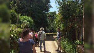 Adulto mayor muere electrocutado en Salcoatitán