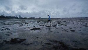 Impresionantes fotos de la bahía de Tampa, EEUU: huracán Ian hizo retroceder el nivel del mar