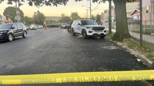 Niño de 5 años murió arrollado por un auto en Nueva York