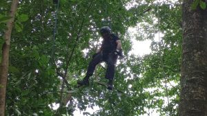 Paracaidista quedó colgado de árbol en complejo deportivo de Soyapango