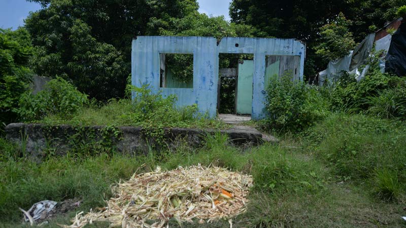 muneca perrita abandonada villa tzuchi san juan opico la libertad regimen excepcion