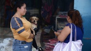 "Está bien bonito": Mujer adopta un perro abandonado tras desalojos en el Centro Histórico