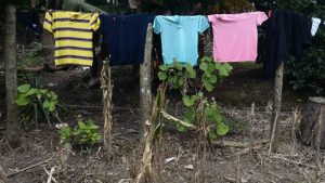 Hombres fueron condenados por vender lotes que no eran de su propiedad