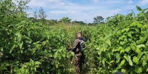 Encuentran muerto a joven reportado como desaparecido