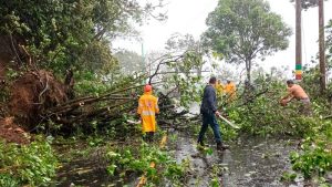 Lluvias generan derrumbes en carretera Los Naranjos y una cárcava en Santa Ana