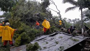 Adulto mayor que murió al caer árbol en Caluco había llegado a visitar a amigos