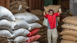 Asamblea autoriza $10 millones para créditos a sectores productivos afectados por tormenta Julia