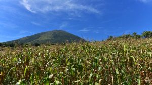 Caserio-Chaparrastique-volcan-San-Miguel-46