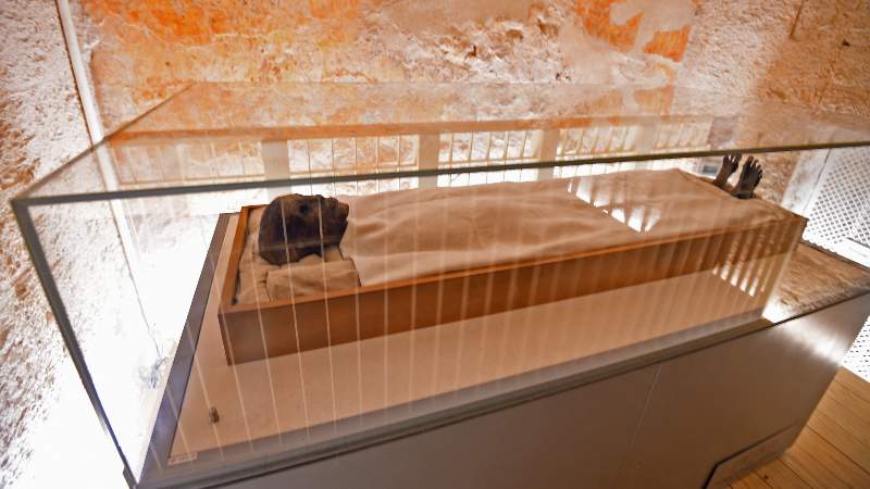 La momia envuelta en lino del faraón Tutankamón exhibida en su vitrina de vidrio con control de temperatura en su tumba subterránea. Foto: AFP