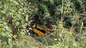 Hombre murió al caer con su camioneta en barranco sobre la carretera de Oro